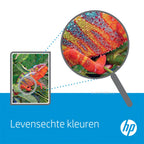 HP 302 | Originele Zwarte Inktcartridge