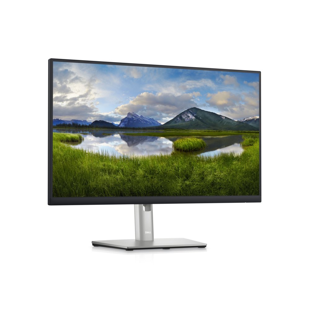 DELL P2423D 24" | 2560 x 1440 IPS | 60Hz | Monitor