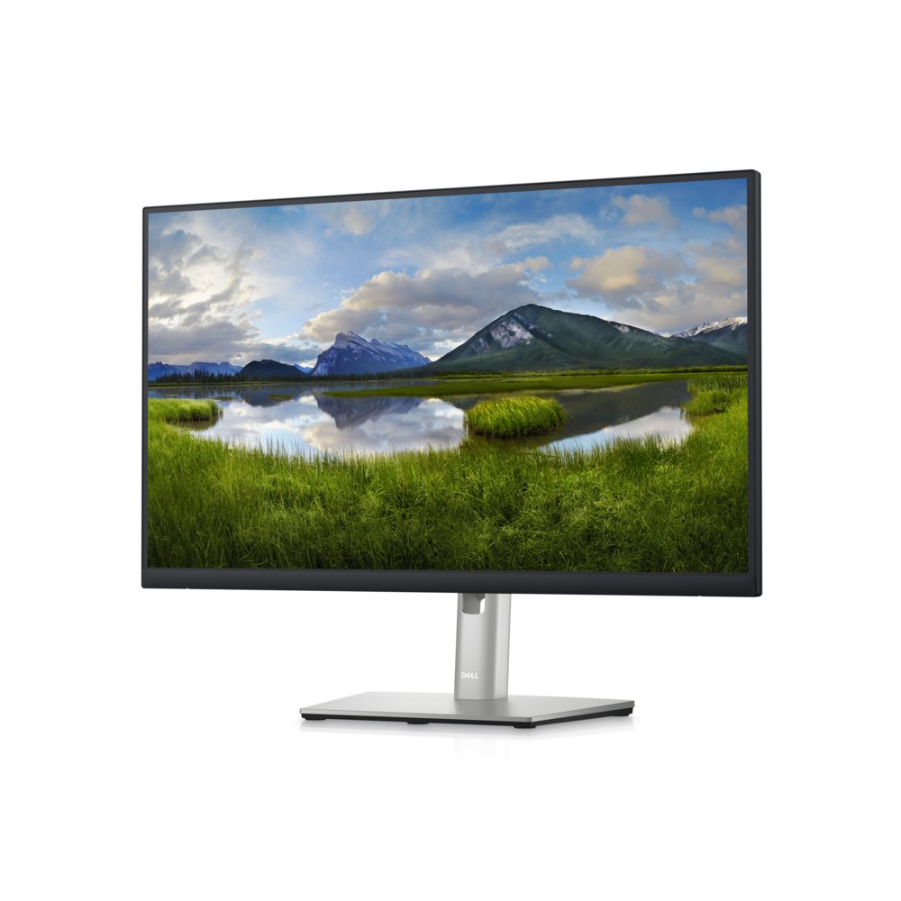 DELL P2423D 24" | 2560 x 1440 IPS | 60Hz | Monitor